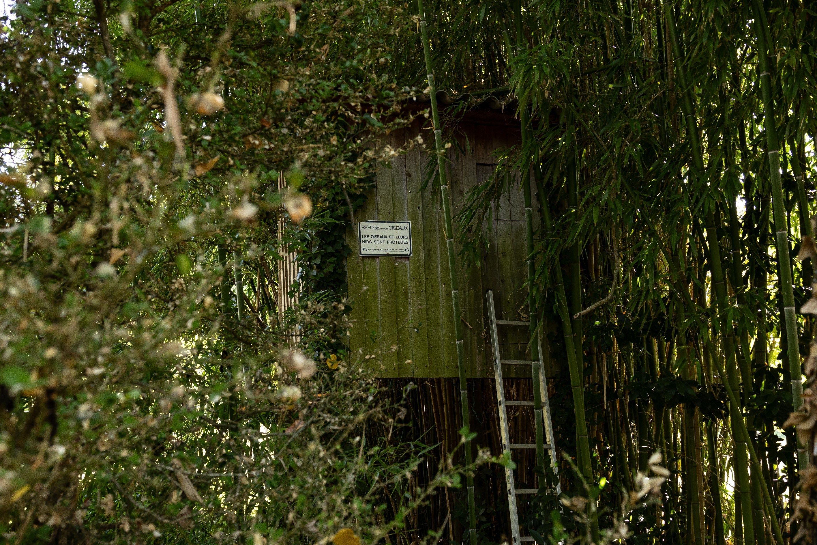 maison 7 Pièces en vente sur SURGERES (17700)