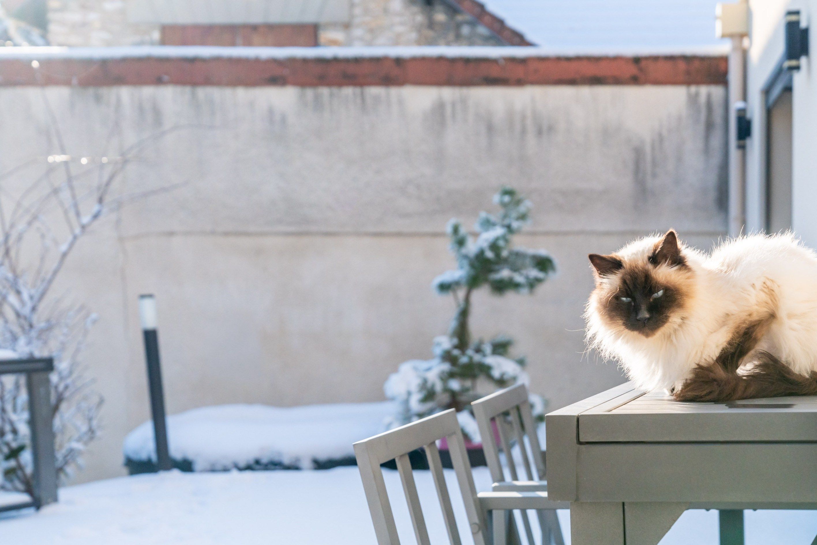 maison 6 Pièces en vente sur SOISY SOUS MONTMORENCY (95230)