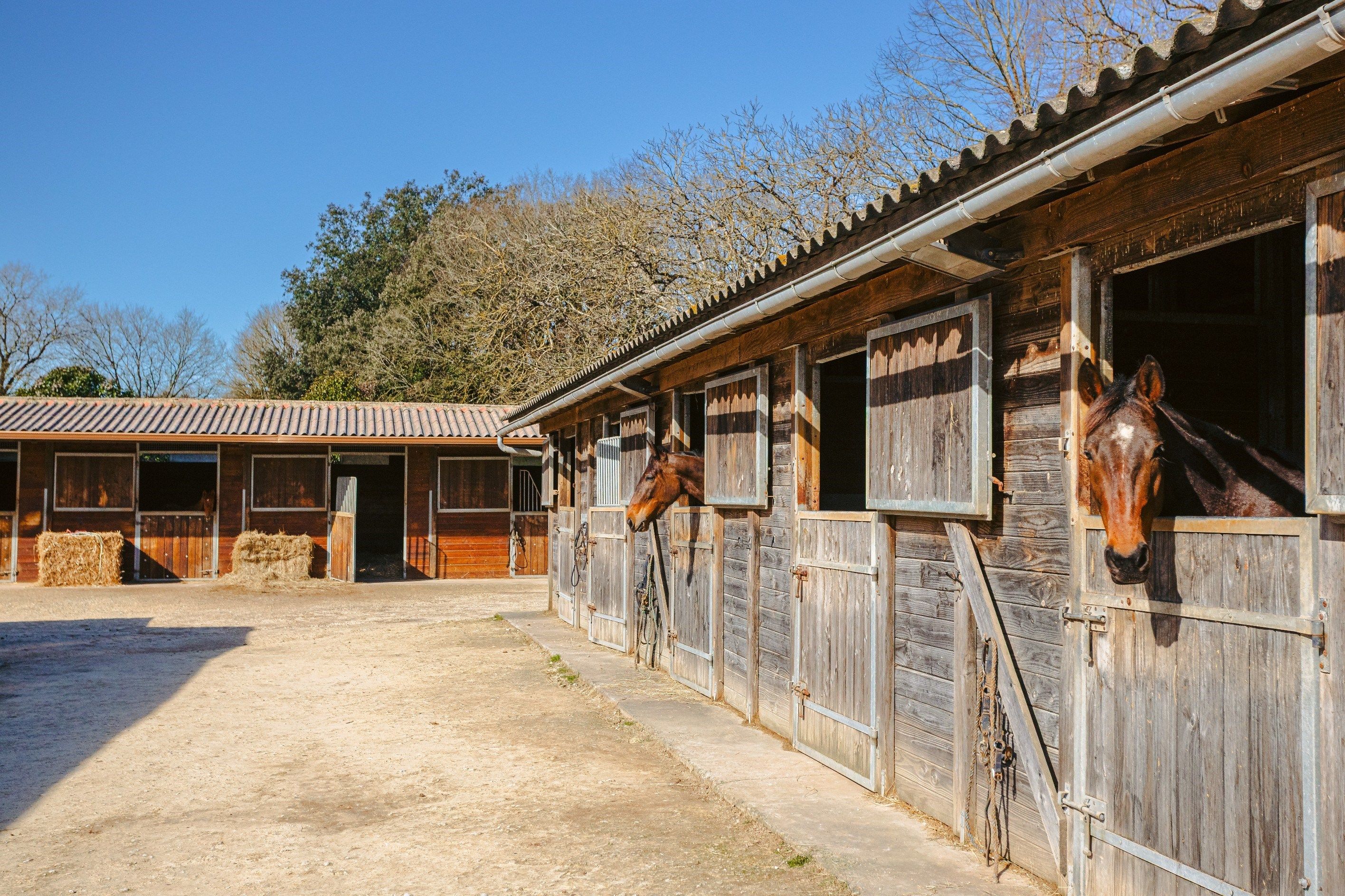 propriété équestre 8 Pièces en vente sur ST SAVINIEN (17350)