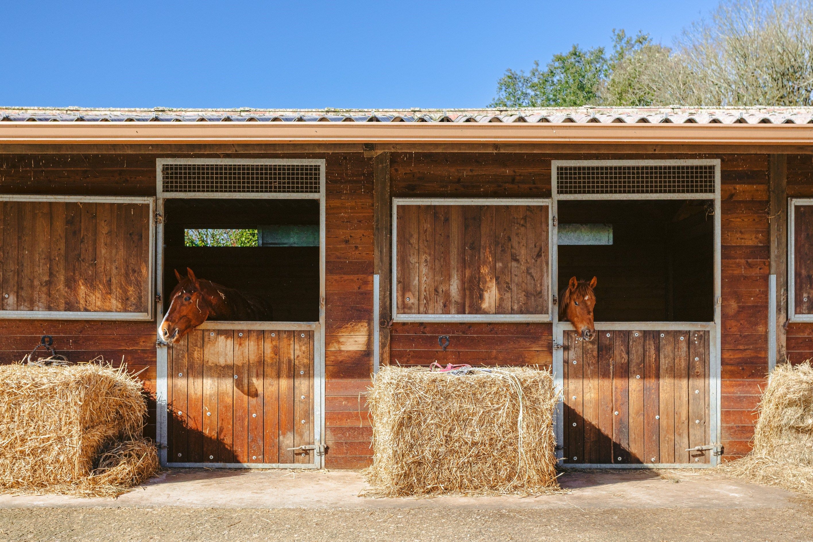 propriété équestre 8 Pièces en vente sur ST SAVINIEN (17350)