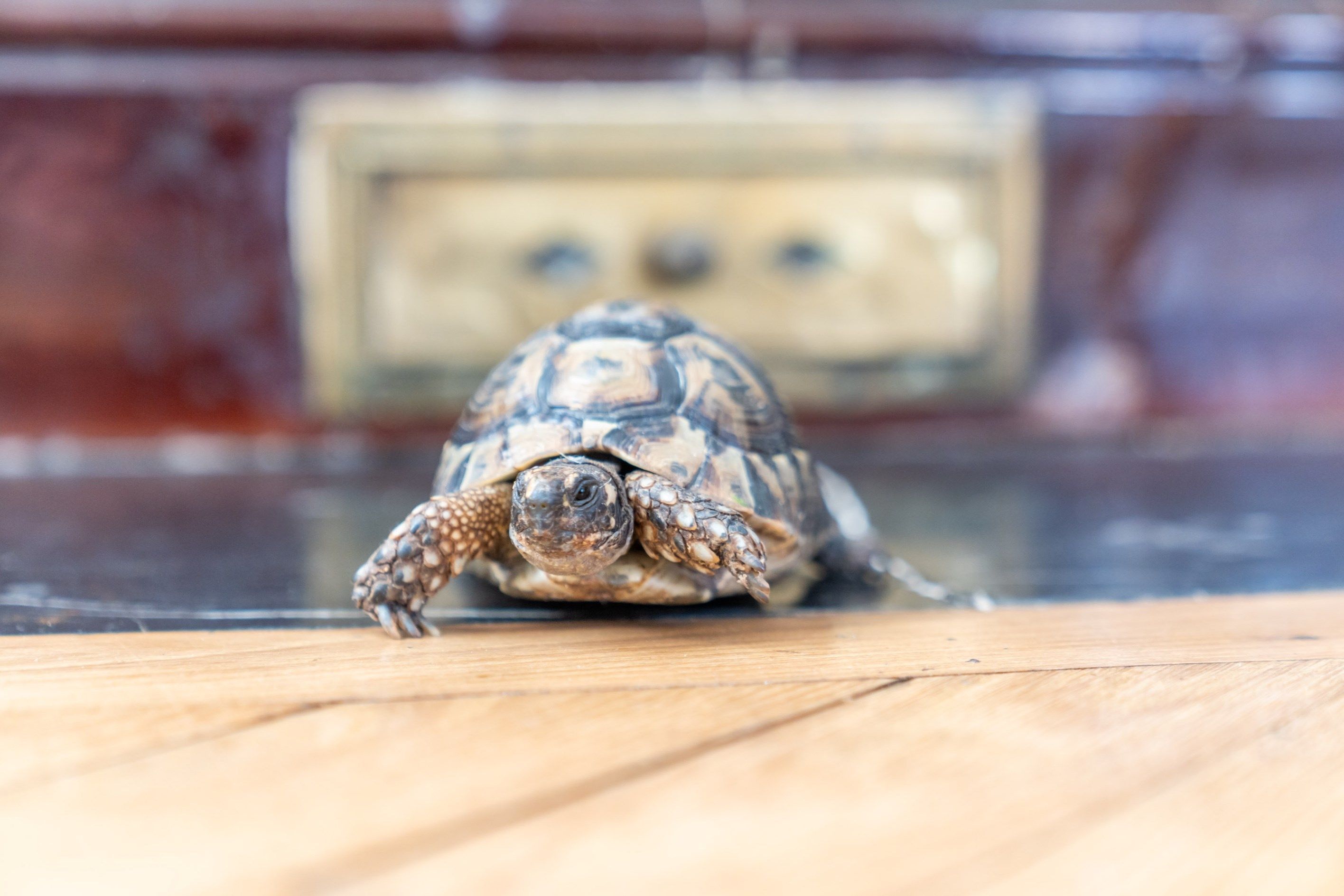 maison 4 Pièces en vente sur COLOMBES (92700)