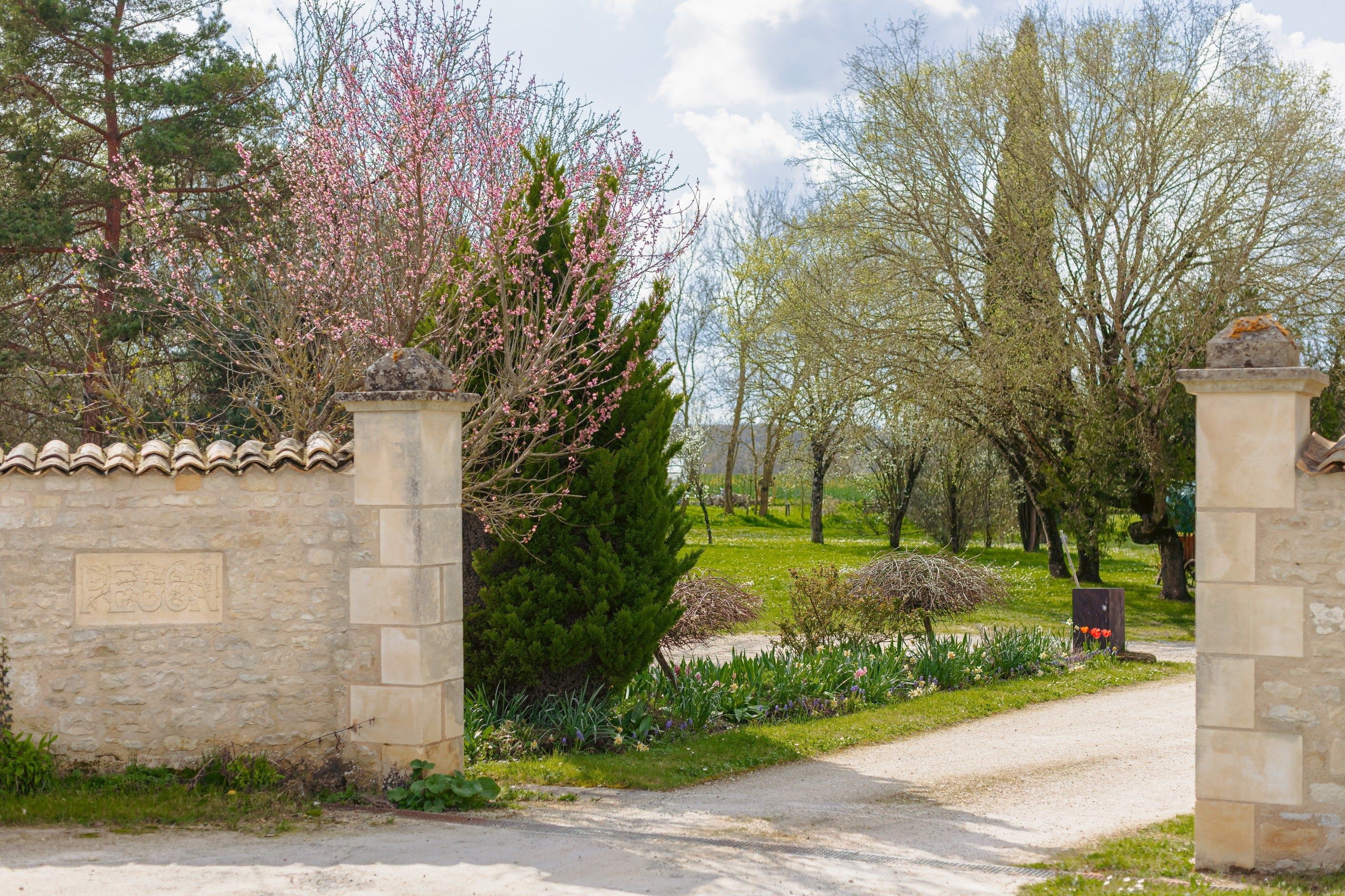 propriété 6 Pièces en vente sur SURGERES (17700)