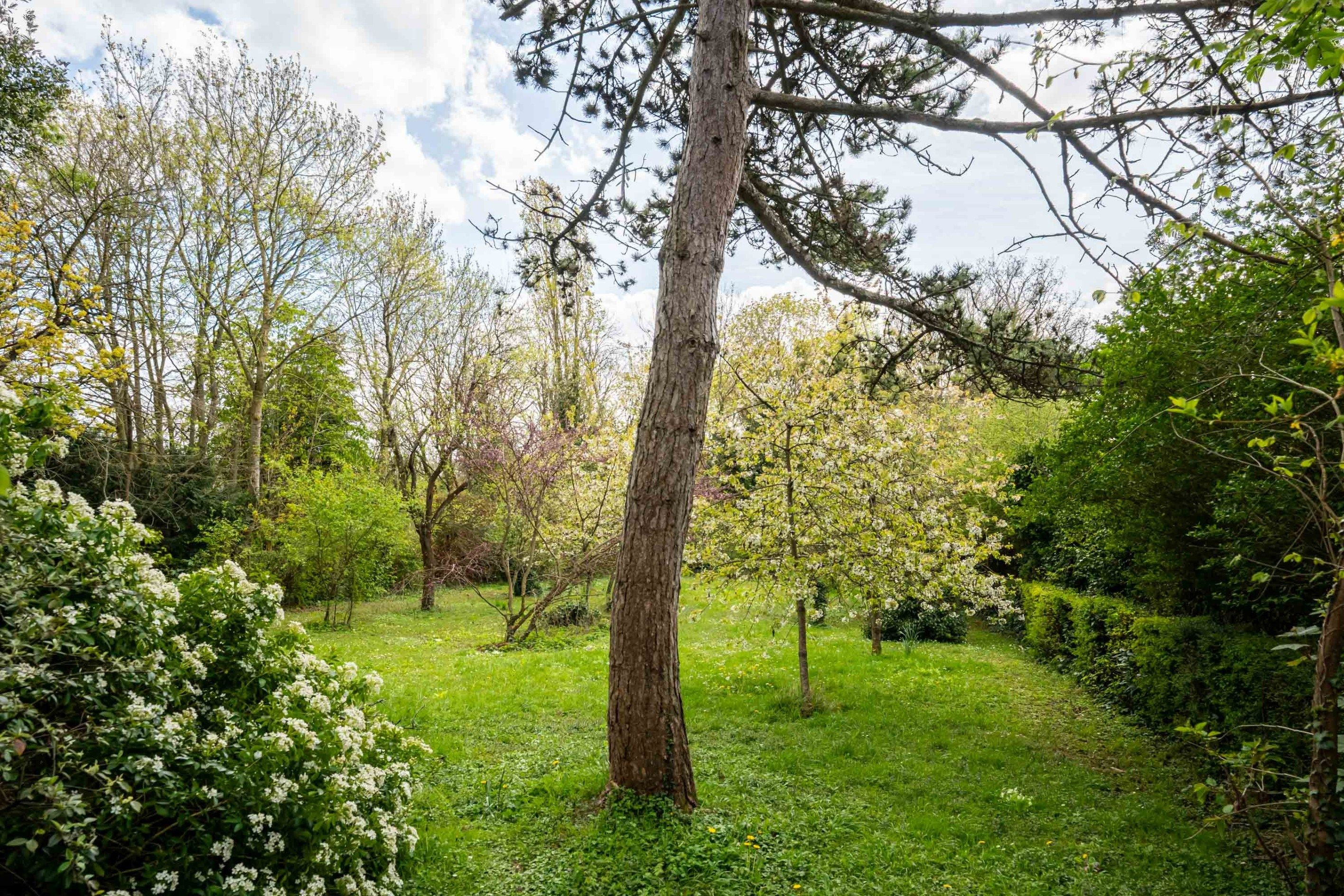 maison 8 Pièces en vente sur DEUIL LA BARRE (95170)