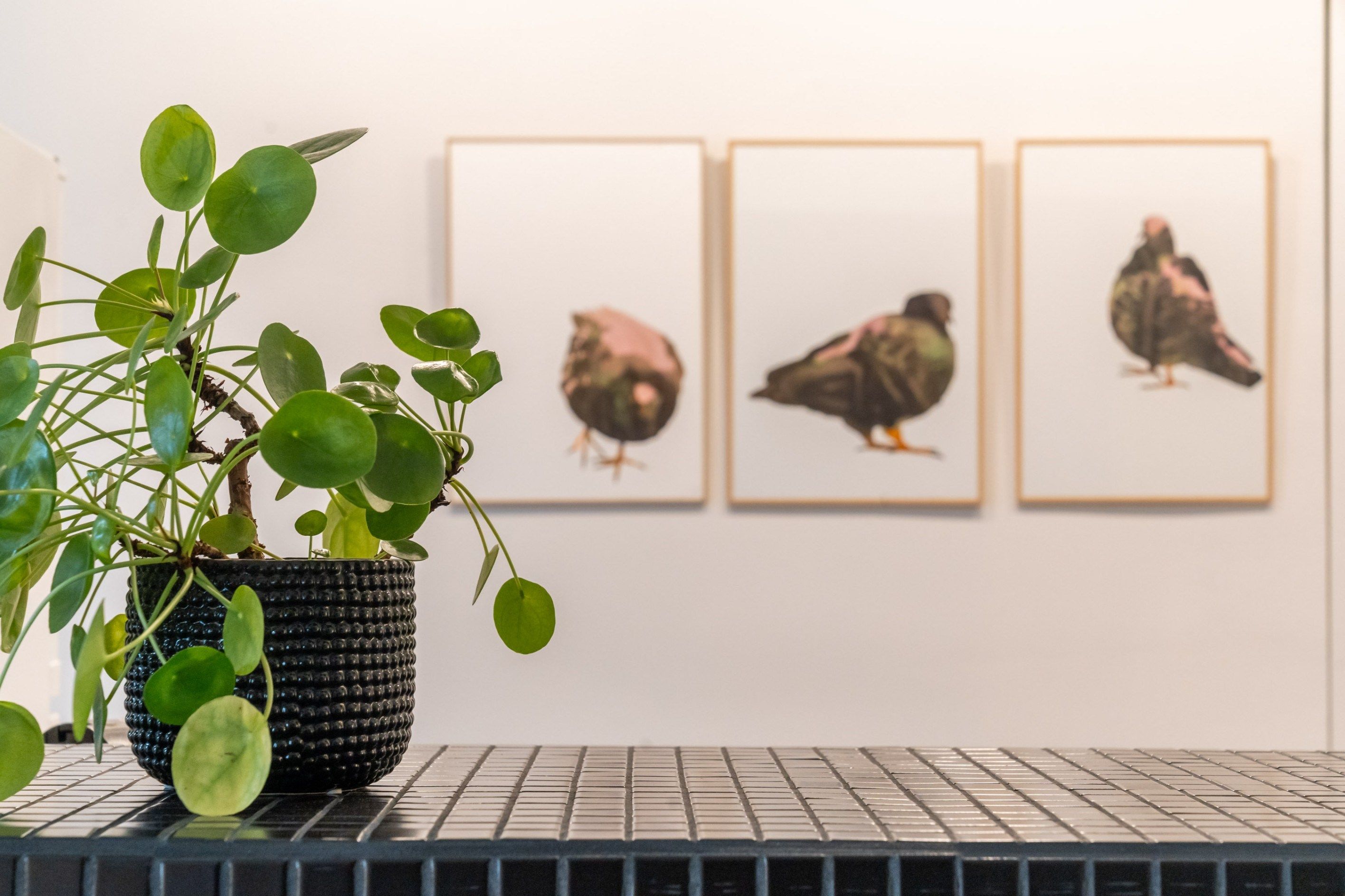 appartement 2 Pièces en vente sur PARIS (75018)