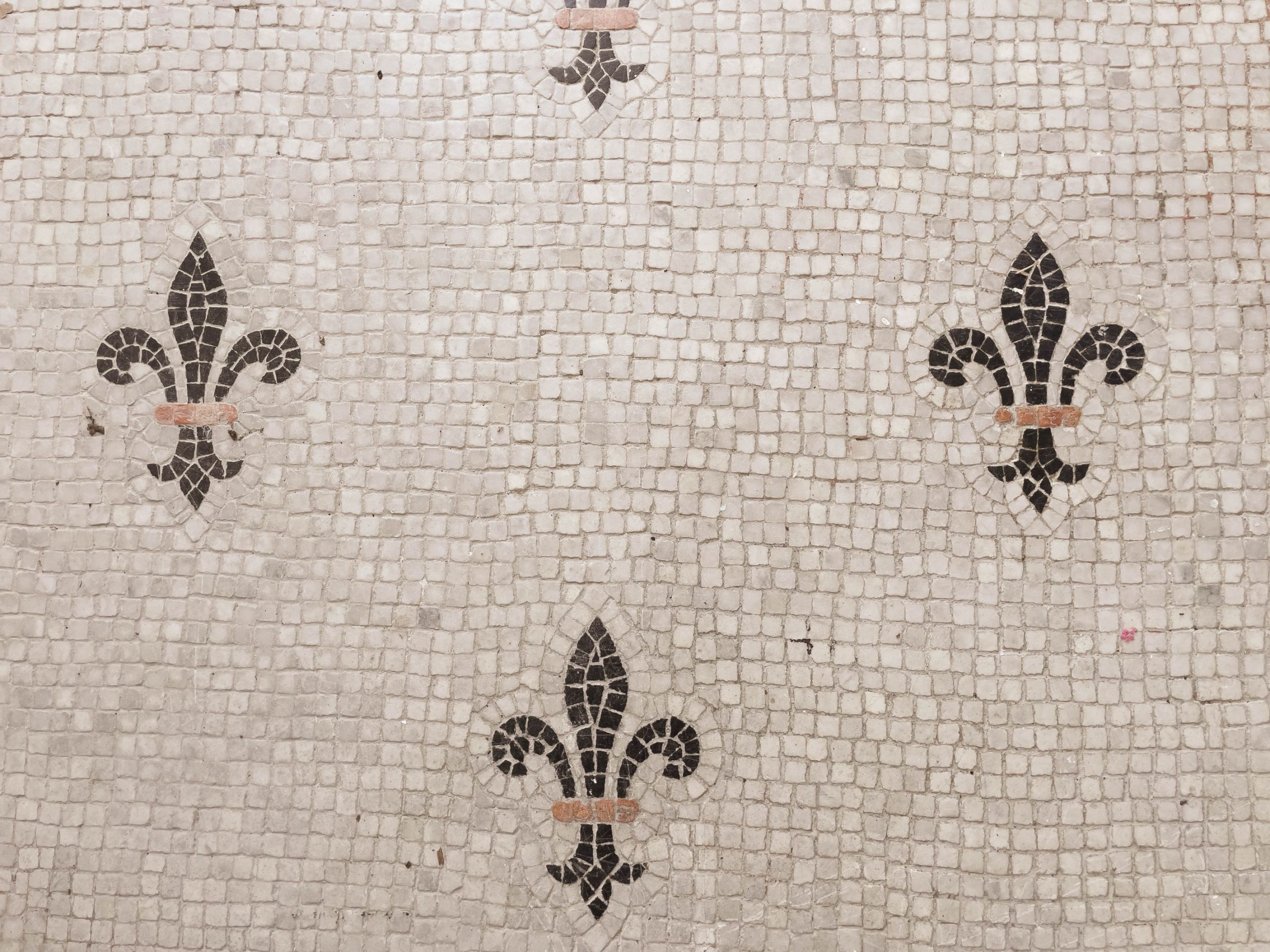 propriété 16 Pièces en vente sur ST COUTANT LE GRAND (17430)