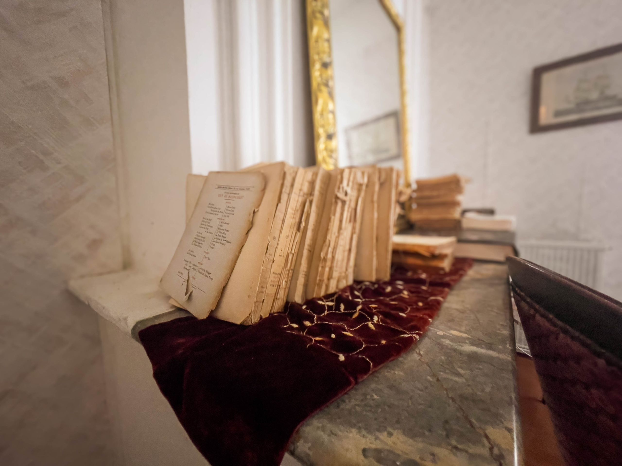 propriété 16 Pièces en vente sur ST COUTANT LE GRAND (17430)